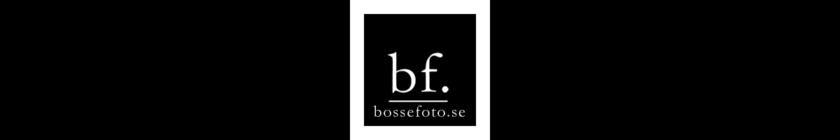 bossefoto.se logo