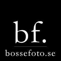 bossefoto.se logo